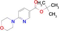 6-Morpholin-4-yl-nicotinic acid tert-butyl ester