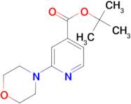 2-Morpholin-4-yl-isonicotinic acid tert-butyl ester