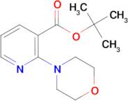 2-Morpholin-4-yl-nicotinic acid tert-butyl ester