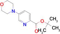 5-Morpholin-4-yl-pyridine-2-carboxylic acid tert-butyl ester