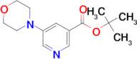 5-Morpholin-4-yl-nicotinic acid tert-butyl ester