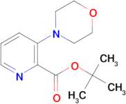 3-Morpholin-4-yl-pyridine-2-carboxylic acid tert-butyl ester