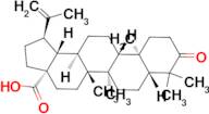 BETULONIC ACID