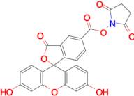 5-Carboxyfluorescein N-Succinimidyl Ester