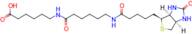 6-(6-(5-((3aS,4S,6aR)-2-Oxohexahydro-1H-thieno[3,4-d]imidazol-4-yl)pentanamido)hexanamido)hexanoic acid
