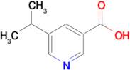 5-Isopropylnicotinic acid