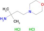 2-Methyl-4-(morpholin-4-yl)butan-2-amine dihydrochloride