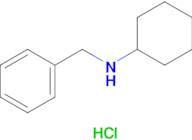 N-benzylcyclohexanamine.hydrochloride