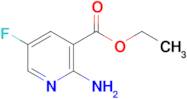 Ethyl 2-amino-5-fluoronicotinate