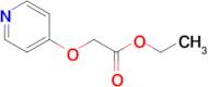 Ethyl 2-(pyridin-4-yloxy)acetate