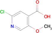 2-Chloro-5-methoxyisonicotinic acid