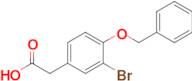 2-(4-(Benzyloxy)-3-bromophenyl)acetic acid