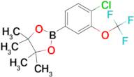 2-(4-Chloro-3-(trifluoromethoxy)phenyl)-4,4,5,5-tetramethyl-1,3,2-dioxaborolane