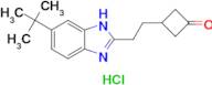 3-(2-(6-(tert-Butyl)-1H-benzo[d]imidazol-2-yl)ethyl)cyclobutanone hydrochloride