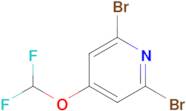 2,6-Dibromo-4-(difluoromethoxy)pyridine