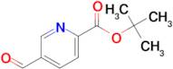 tert-Butyl 5-formylpicolinate