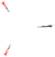 5,6-Dihydroxy-4-oxo-2-phenyl-4H-1-benzopyran-7-yl β-D-Glucopyranosiduronic Acid