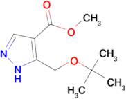 Methyl 3-(tert-butoxymethyl)-1H-pyrazole-4-carboxylate