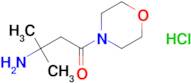 3-Amino-3-methyl-1-morpholinobutan-1-one hydrochloride