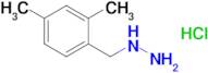 (2,4-Dimethylbenzyl)hydrazine hydrochloride