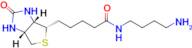 N-(4-Aminobutyl)-5-((3aS,4S,6aR)-2-oxohexahydro-1H-thieno[3,4-d]imidazol-4-yl)pentanamide