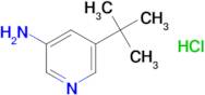 5-(tert-Butyl)pyridin-3-amine hydrochloride