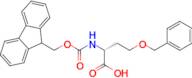 N-(((9H-Fluoren-9-yl)methoxy)carbonyl)-O-benzyl-D-homoserine