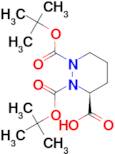 (S)-tetrahydropyridazine-1,2,3-tricarboxylic acid 1,2-di-tert-butyl ester