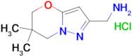 {6,6-Dimethyl-5H,6H,7H-pyrazolo[3,2-b][1,3]oxazin-2-yl}methanamine hydrochloride