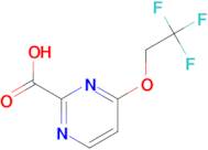 4-(2,2,2-Trifluoroethoxy)pyrimidine-2-carboxylic acid