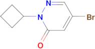 5-Bromo-2-cyclobutyl-2,3-dihydropyridazin-3-one