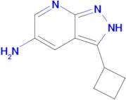 3-Cyclobutyl-1H-pyrazolo[3,4-b]pyridin-5-amine