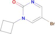 5-Bromo-1-cyclobutyl-1,2-dihydropyrimidin-2-one