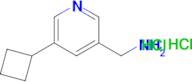 (5-Cyclobutylpyridin-3-yl)methanamine dihydrochloride