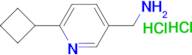 (6-Cyclobutylpyridin-3-yl)methanamine dihydrochloride