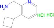 (3-Cyclobutylpyridin-2-yl)methanamine dihydrochloride