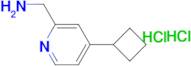 (4-Cyclobutylpyridin-2-yl)methanamine dihydrochloride