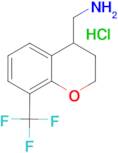 [8-(trifluoromethyl)-3,4-dihydro-2H-1-benzopyran-4-yl]methanamine hydrochloride
