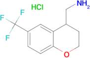 1-[6-(trifluoromethyl)-3,4-dihydro-2H-chromen-4-yl]methanamine hydrochloride (1:1)