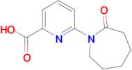 6-(2-oxoazepan-1-yl)pyridine-2-carboxylic acid