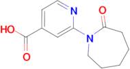 2-(2-oxoazepan-1-yl)pyridine-4-carboxylic acid