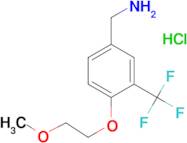 [4-(2-methoxyethoxy)-3-(trifluoromethyl)phenyl]methanamine hydrochloride