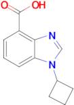1-cyclobutyl-1H-1,3-benzodiazole-4-carboxylic acid