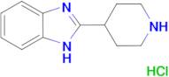 2-(piperidin-4-yl)-1H-1,3-benzodiazole hydrochloride