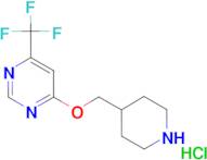 4-[(piperidin-4-yl)methoxy]-6-(trifluoromethyl)pyrimidine hydrochloride