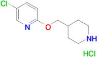 5-chloro-2-[(piperidin-4-yl)methoxy]pyridine hydrochloride