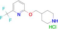 2-[(piperidin-4-yl)methoxy]-6-(trifluoromethyl)pyridine hydrochloride