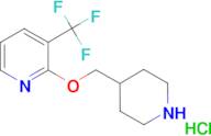 2-[(piperidin-4-yl)methoxy]-3-(trifluoromethyl)pyridine hydrochloride