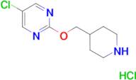 5-chloro-2-[(piperidin-4-yl)methoxy]pyrimidine hydrochloride