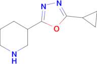3-(5-Cyclopropyl-1,3,4-oxadiazol-2-yl)piperidine